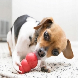 KONG CLASSIC S SMALL zabawka dla psa o wadze od 2kg do 9kg